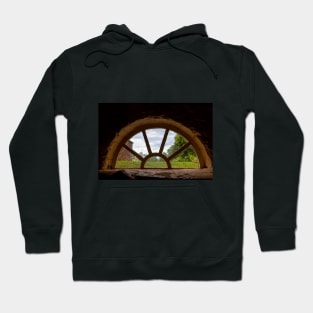 Picturing the World Outside Hoodie